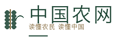 中国农网